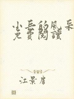 小兵的风采小说免费阅读