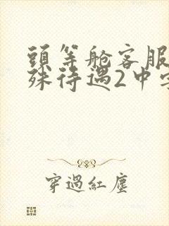 头等舱客服的特殊待遇2中字