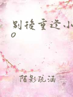 别后重逢小说po