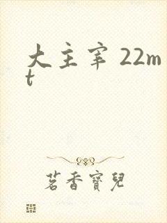 大主宰 22mt