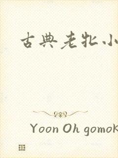 古典老牝小说