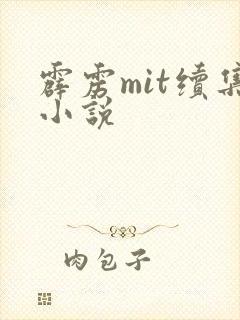 霹雳mit续集小说