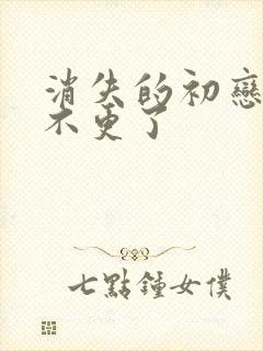 消失的初恋为啥不更了