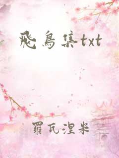 飞鸟集txt