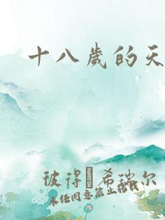 十八岁的天空续