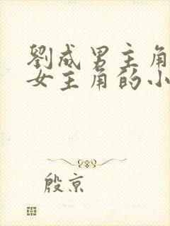 刘成男主角刘雪女主角的小说