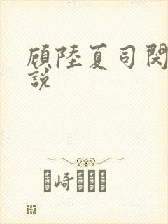 顾陆夏司闵郁小说