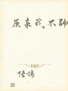 原来我不帅小说