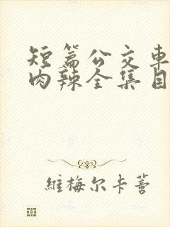 短篇公交车高h肉辣全集目录