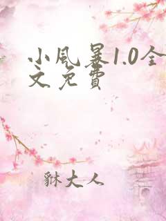 小风暴1.0全文免费