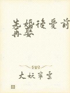 先婚后爱前妻难再娶