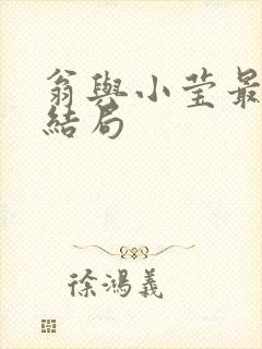 翁与小莹最新大结局