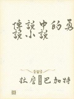 传说中的勇者传说小说