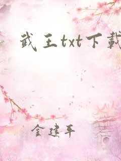 武王txt下载