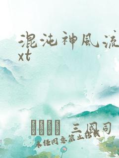 混沌神风流史txt