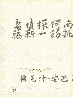 名侦探柯南给工藤新一的挑战书