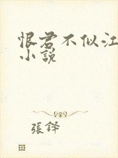 恨君不似江楼月小说