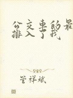 公交车的最后一排入了我