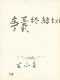 左耳终结txt下载