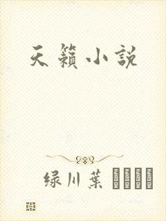 天籁小说