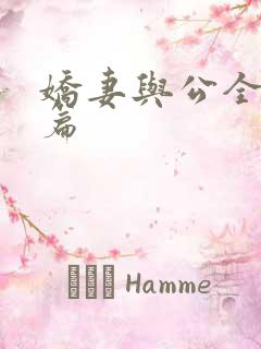 娇妻与公全集长篇