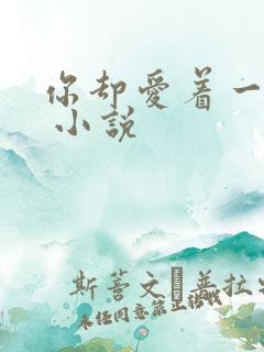 你却爱着一个他 小说