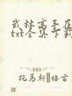 武林高手在校园txt全集下载