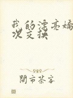 我的漂亮娇妻初次交换