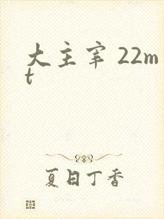 大主宰 22mt