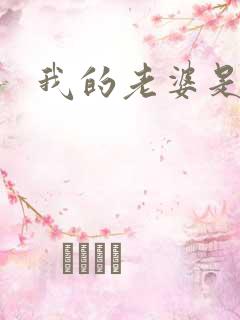 我的老婆是火影