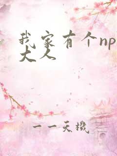 我家有个npc大人
