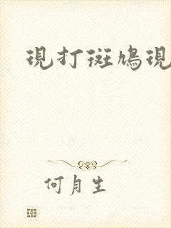 现打斑鸠现钳毛