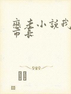 恋老小说我和老市长