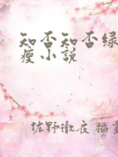 知否知否绿肥红瘦小说