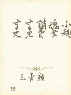 寸寸销魂小说全文免费笔趣阁