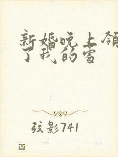 新婚晚上领导破了我的处