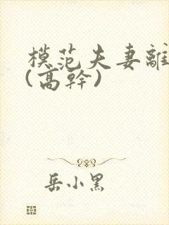 模范夫妻离婚了(高干)