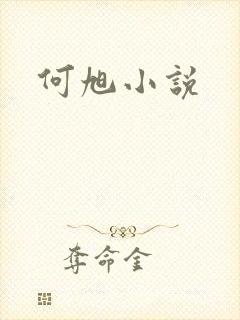 何旭小说