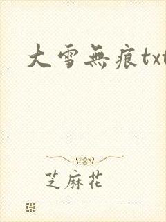 大雪无痕txt