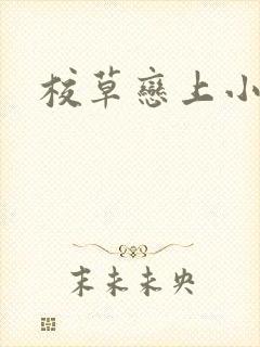 校草恋上小丫头