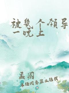 被几个领导玩弄一晚上