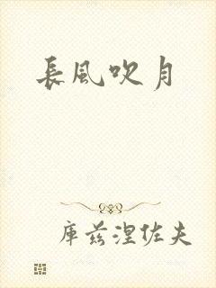 长风吹月