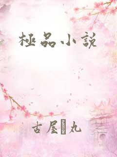 极品小说