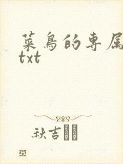 菜鸟的专属大神txt