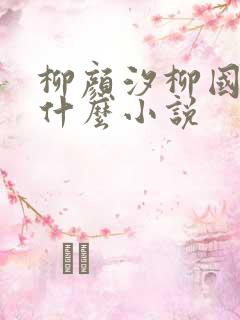 柳颜汐柳国安是什么小说
