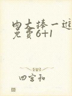 肉大捧一进一出免费6+1