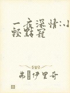一夜深情:小叔轻点宠
