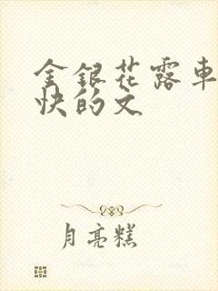 金银花露车速最快的文