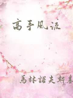 高手风流