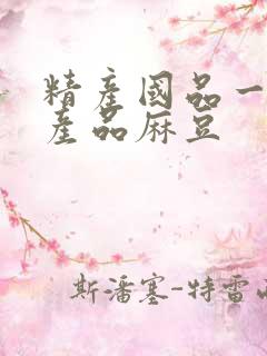 精产国品一二三产品麻豆